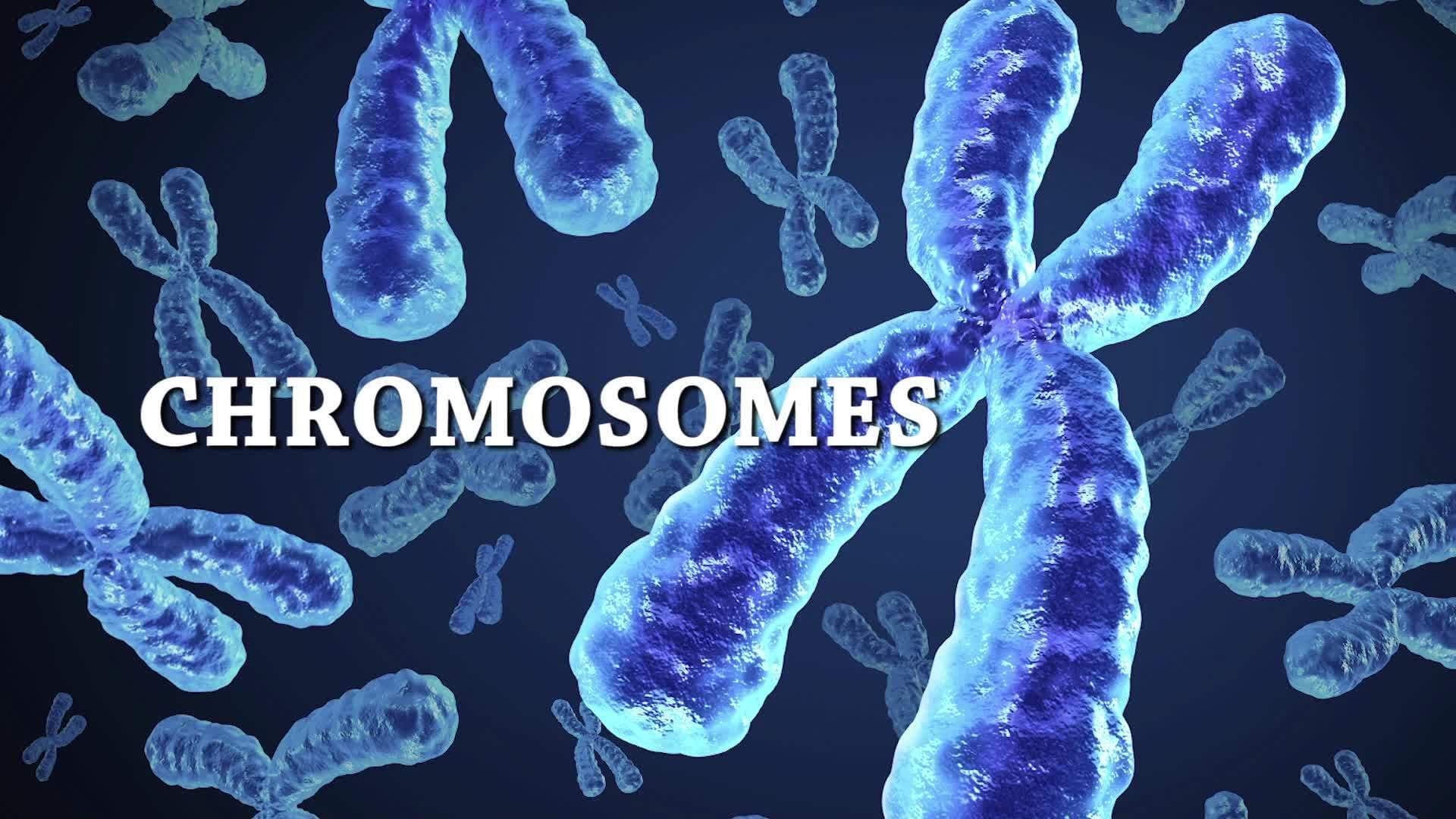 Science Kids: All About Genetics