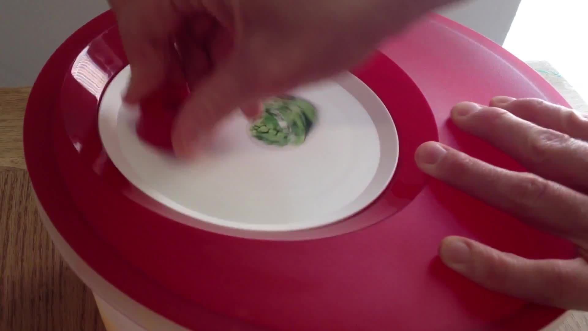 Spin Art