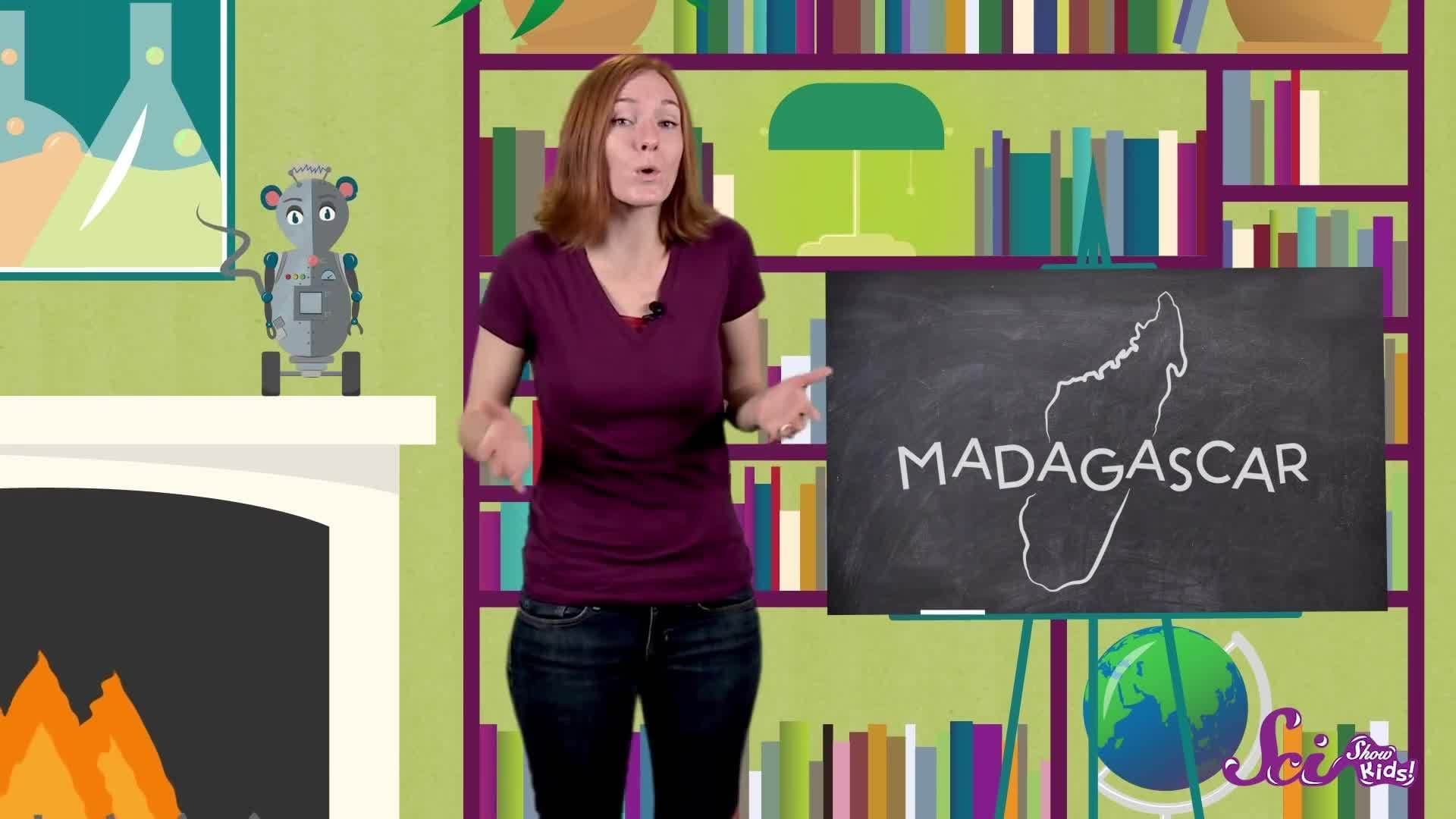 The Real Animals of Madagascar | Animal Science for Kids