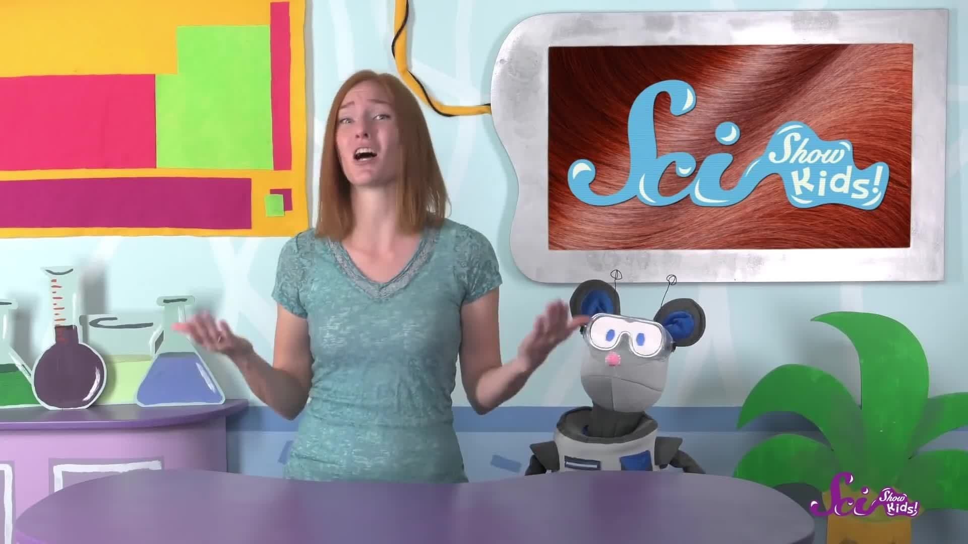 Where Do Lice Come From?