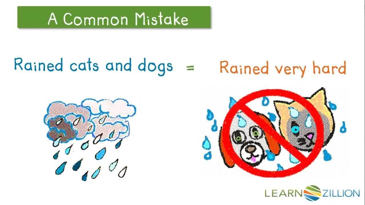 Understanding Idioms: Thorn in My Side