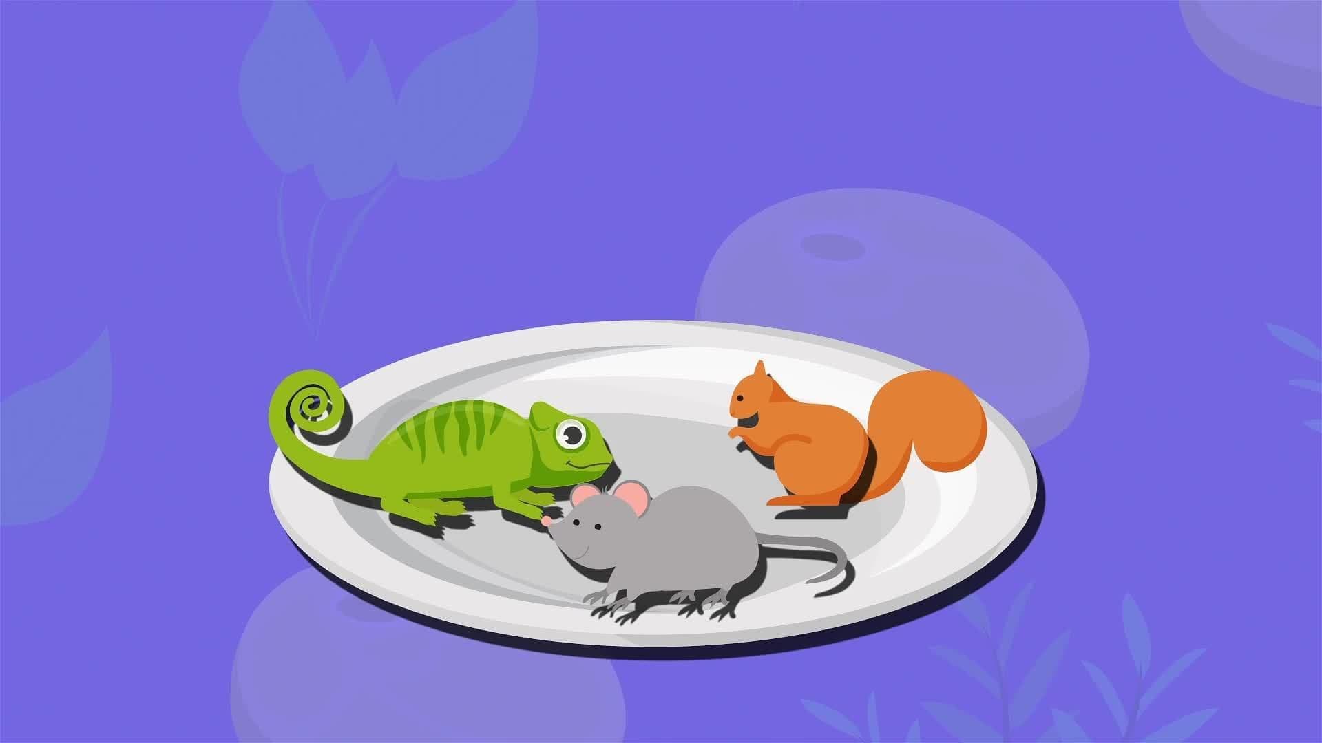 I WONDER - What Did Omnivore Dinosaurs Eat?