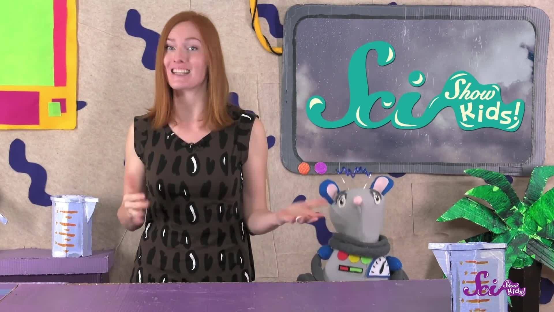 Explore the Rainforest! Ecology for Kids