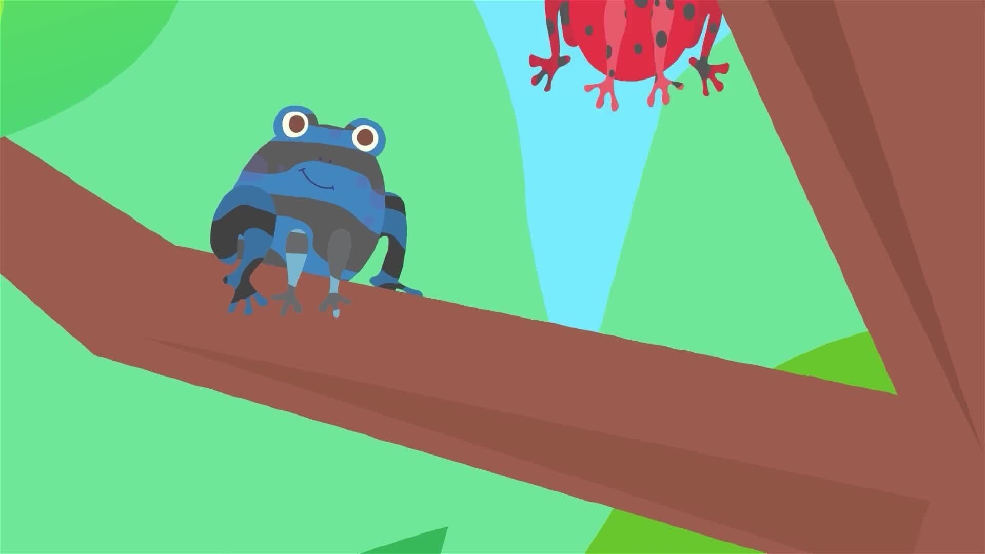 I WONDER - What Is A Poison Dart Frog?