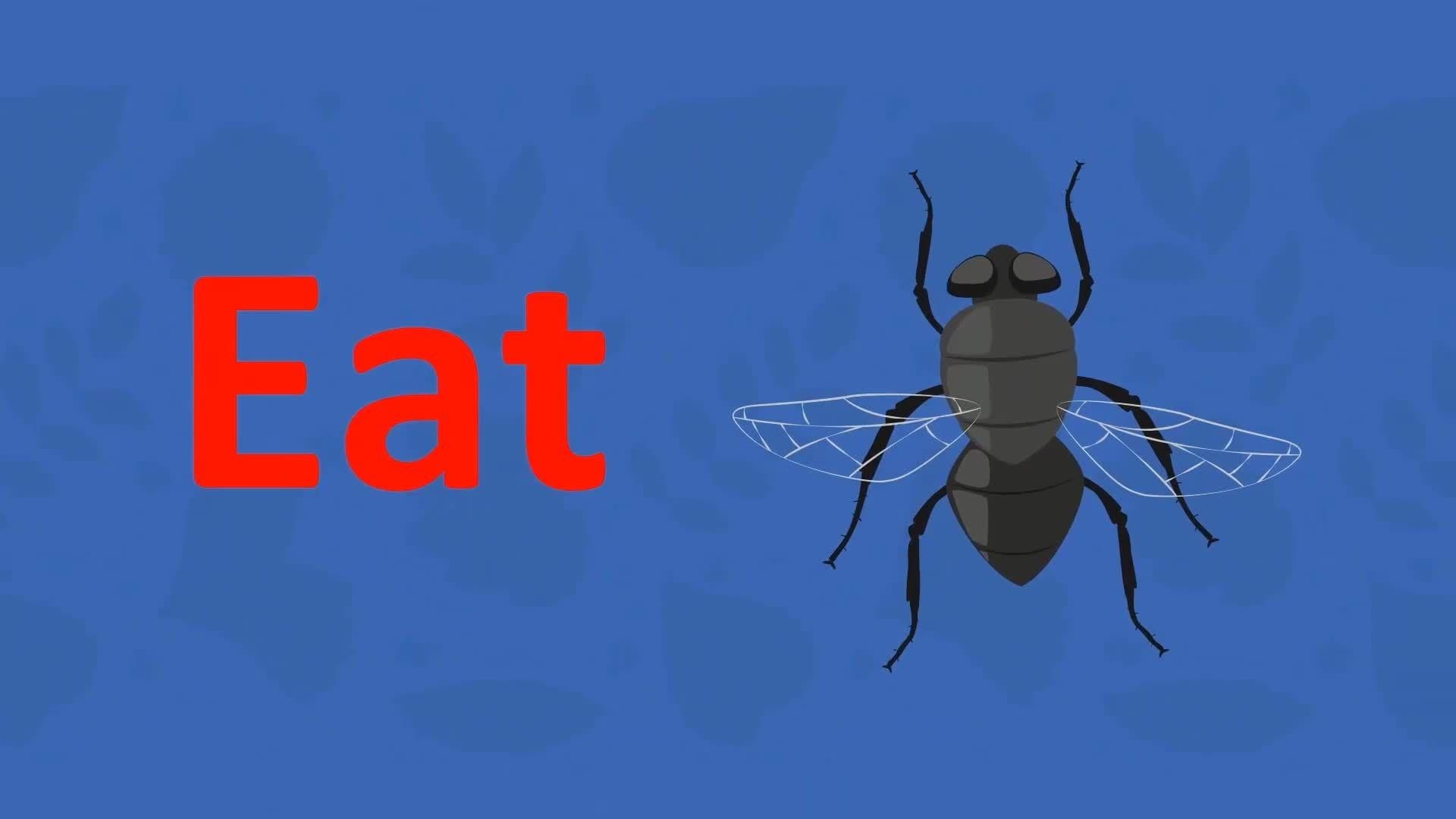 I WONDER - Are There Any Plants That Eat Meat?