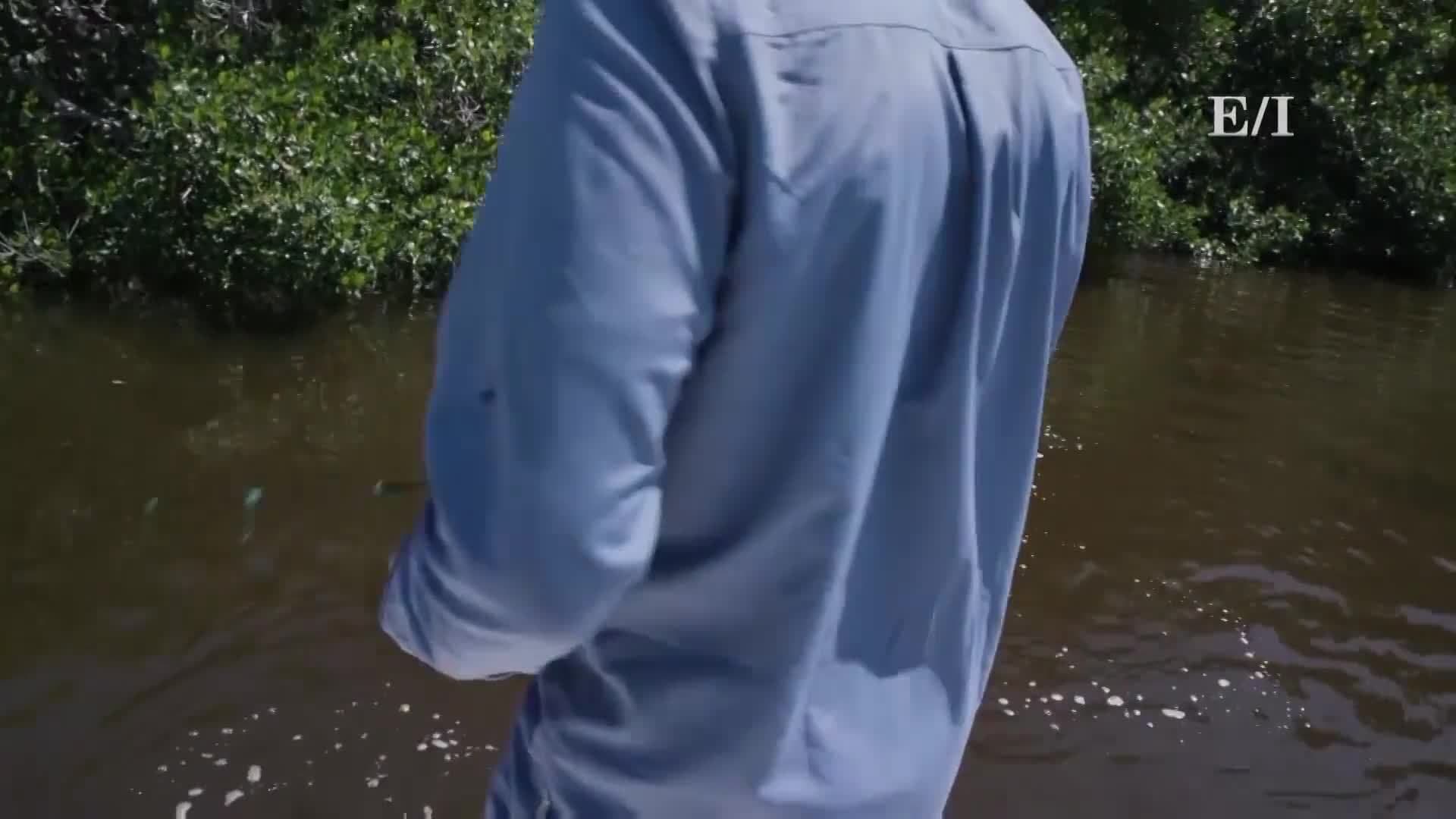 Finding a good spot to fish in Florida