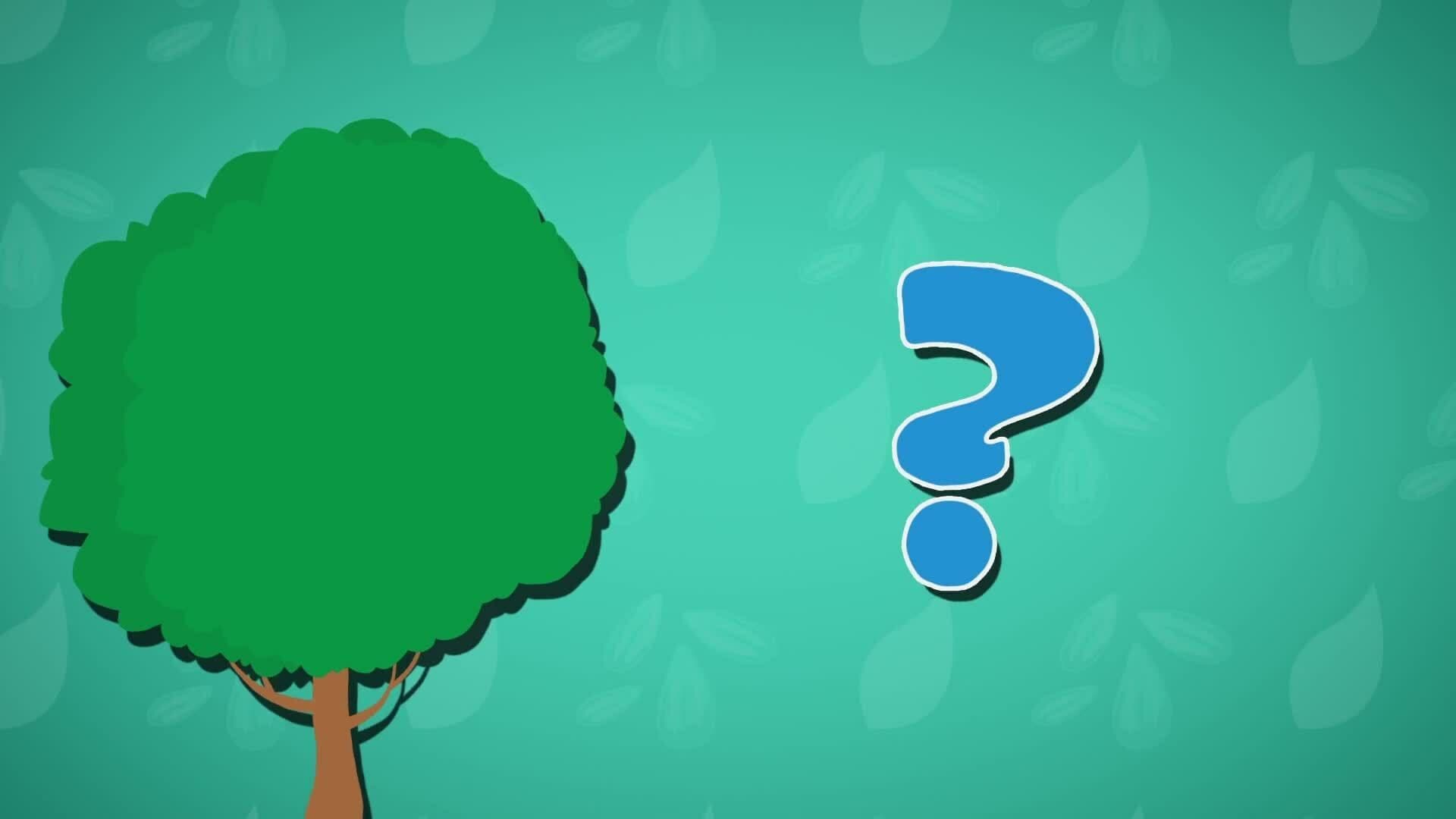 I WONDER - How Do Seeds Spread?