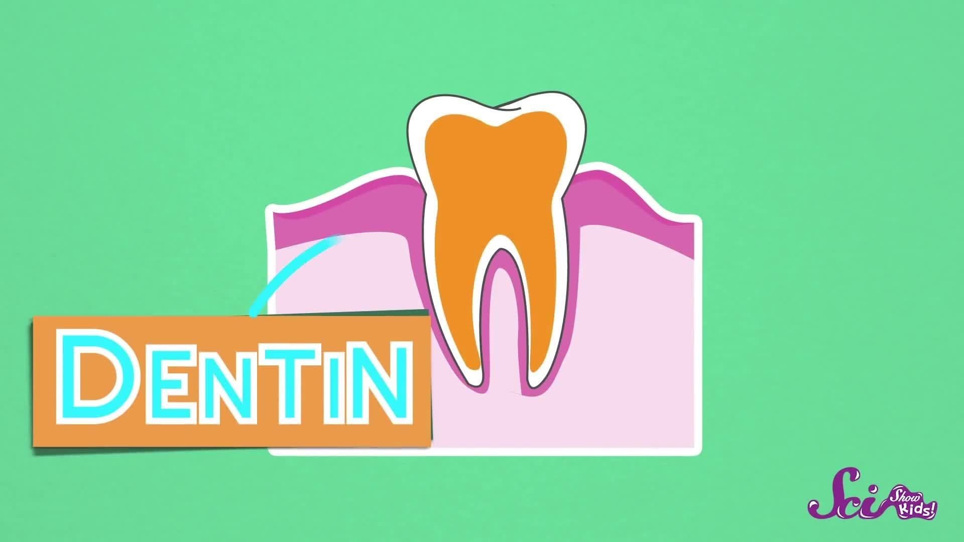 Why do We Brush Our Teeth?