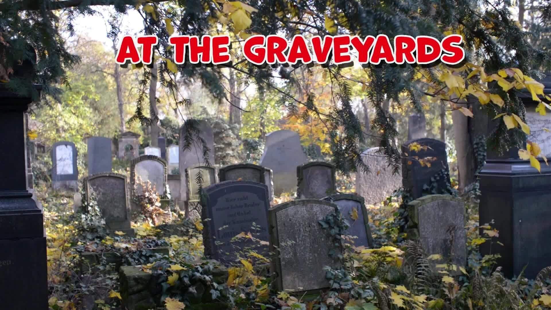 I WONDER - What Celebrations Take Place On Day Of The Dead?