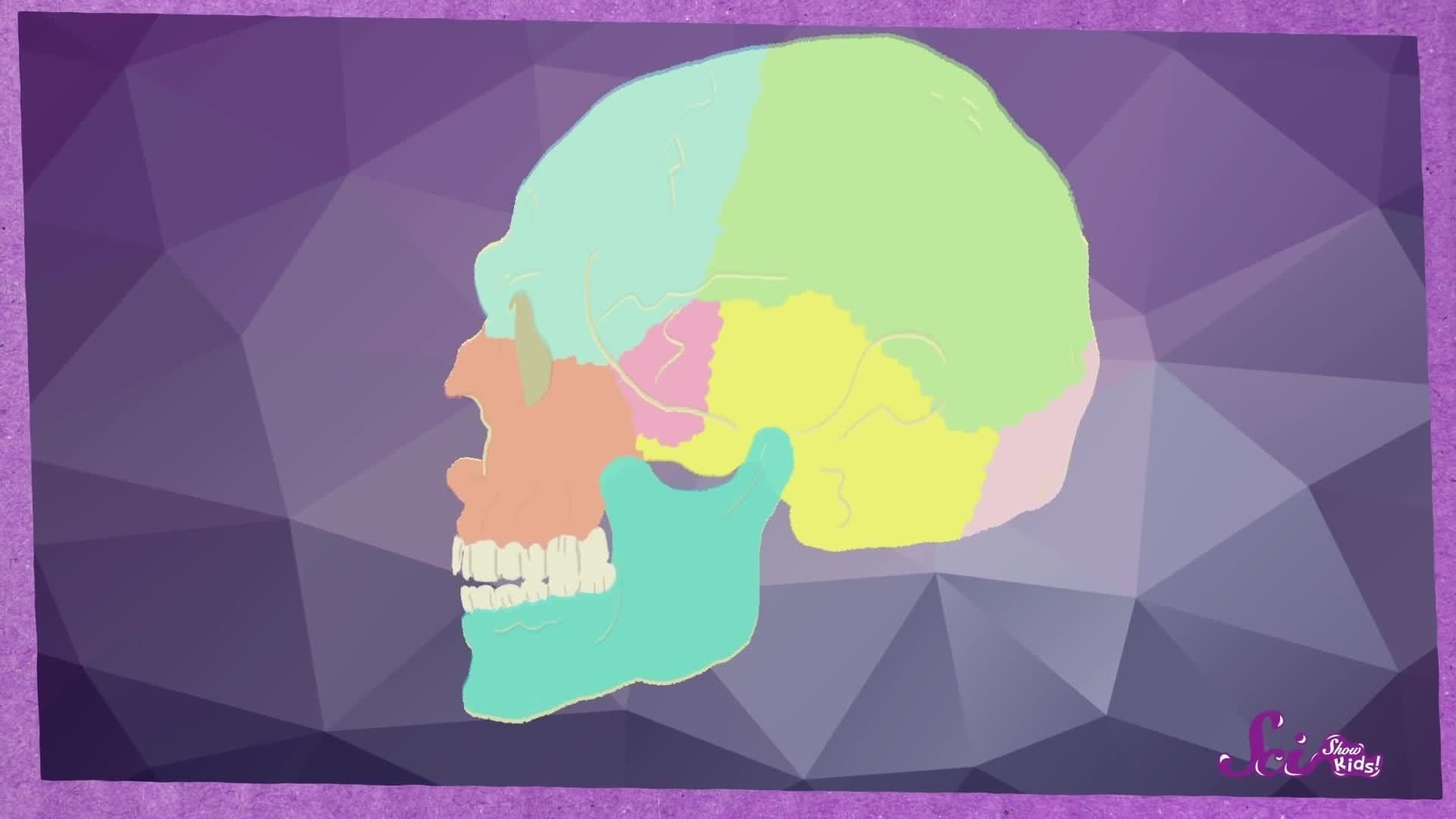 Use Your Brain!