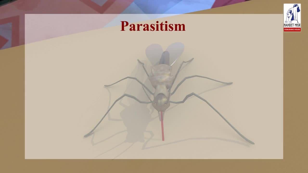 parasitism