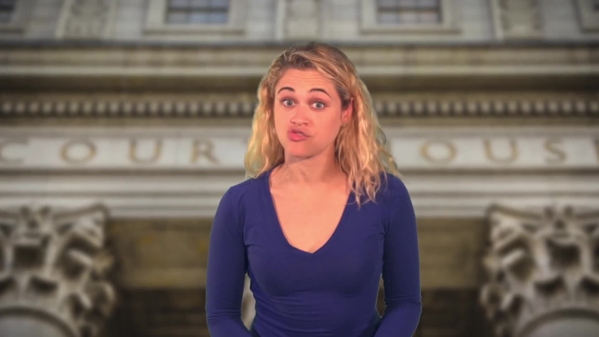 Understanding the Judicial Branch in US State Government