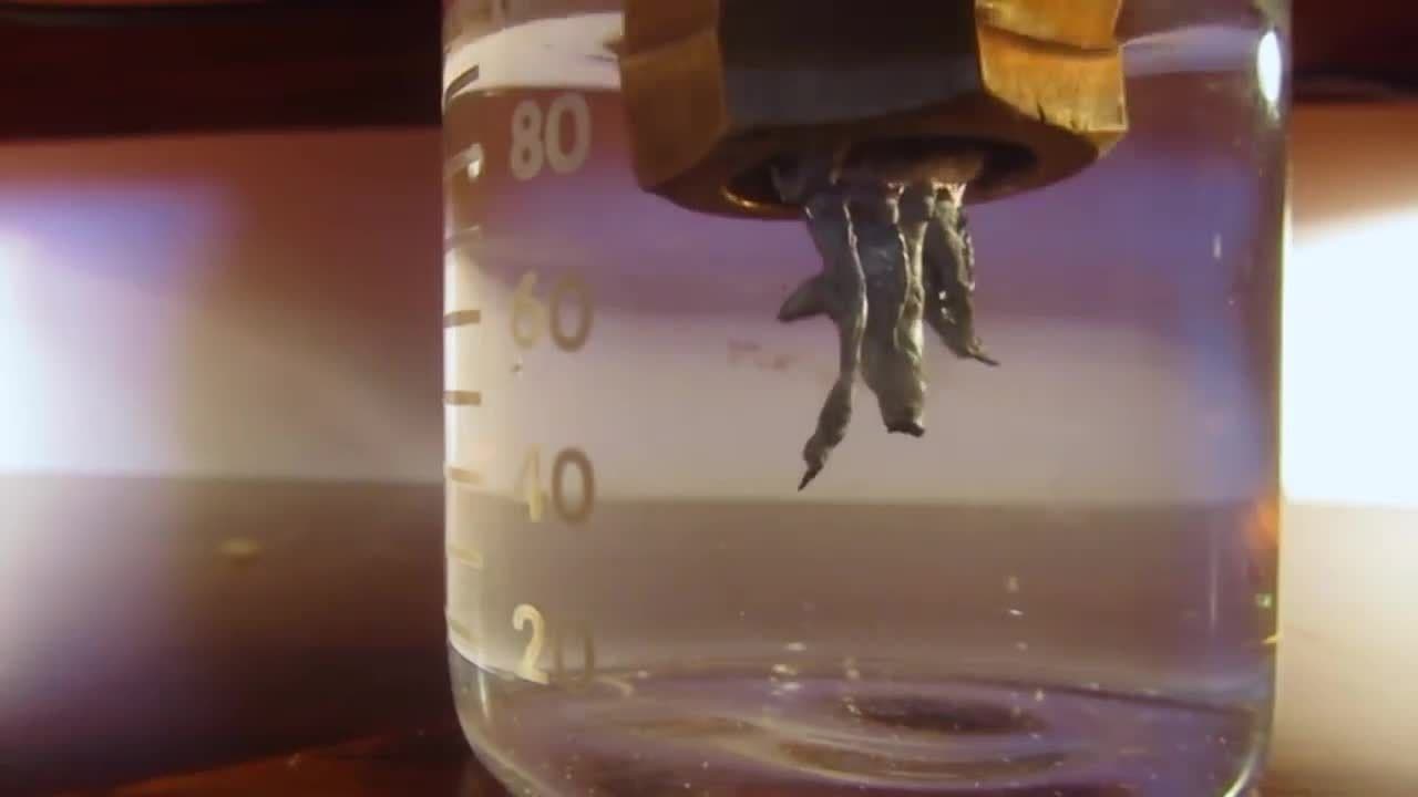 How to Grow A Lead Crystal Tree! Old Alchemy Demonstration.