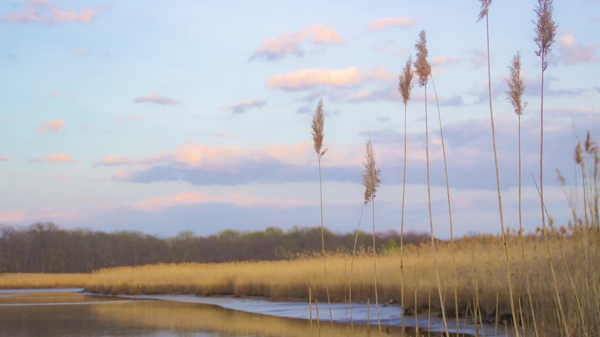 Connective Bodies of Water: Marshes, Estuaries, and Straits