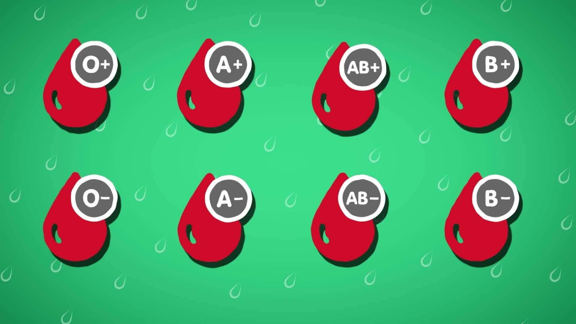 I WONDER - What Are The Different Blood Types?