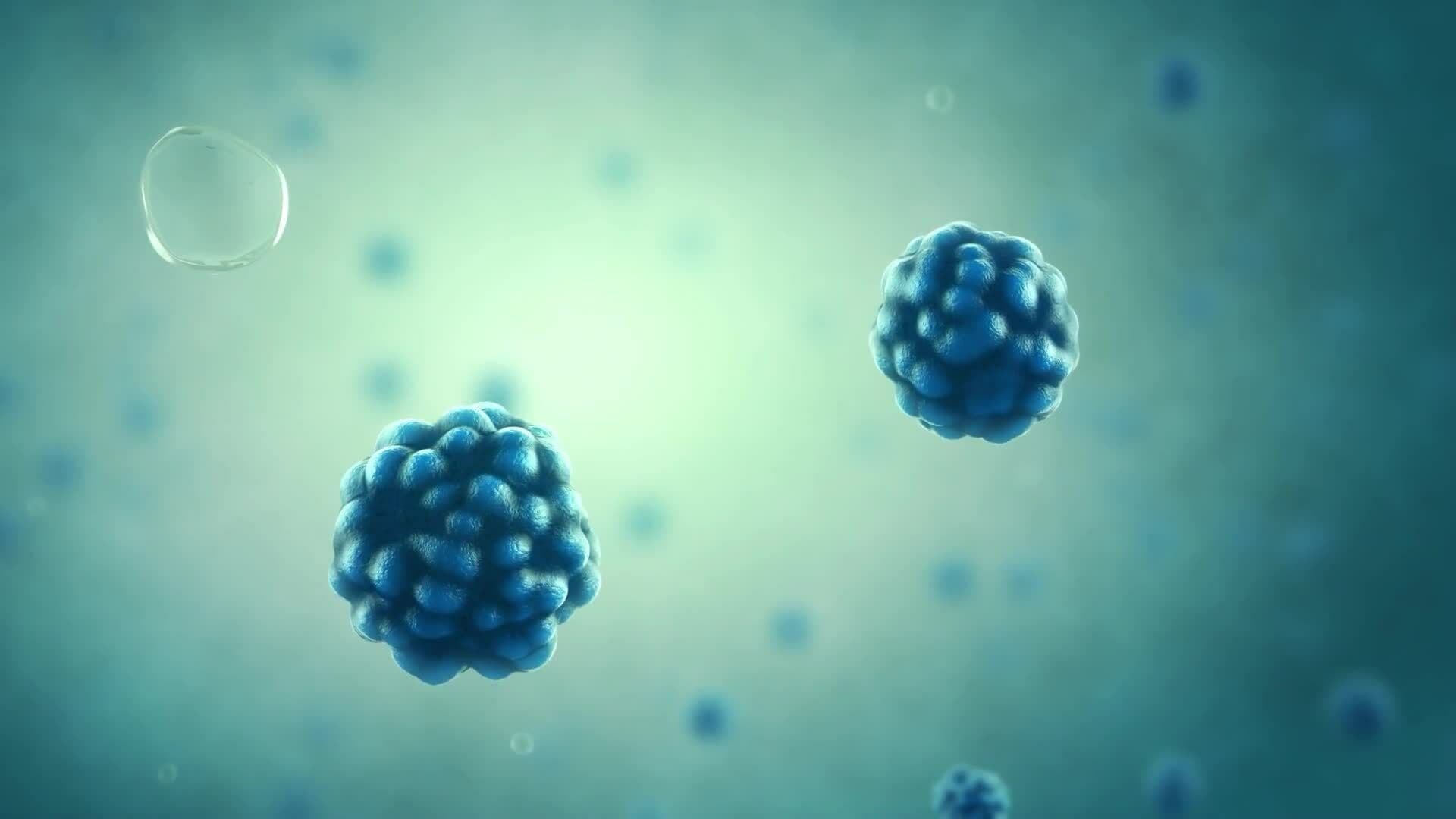 I WONDER - How Do Cell Communicate?