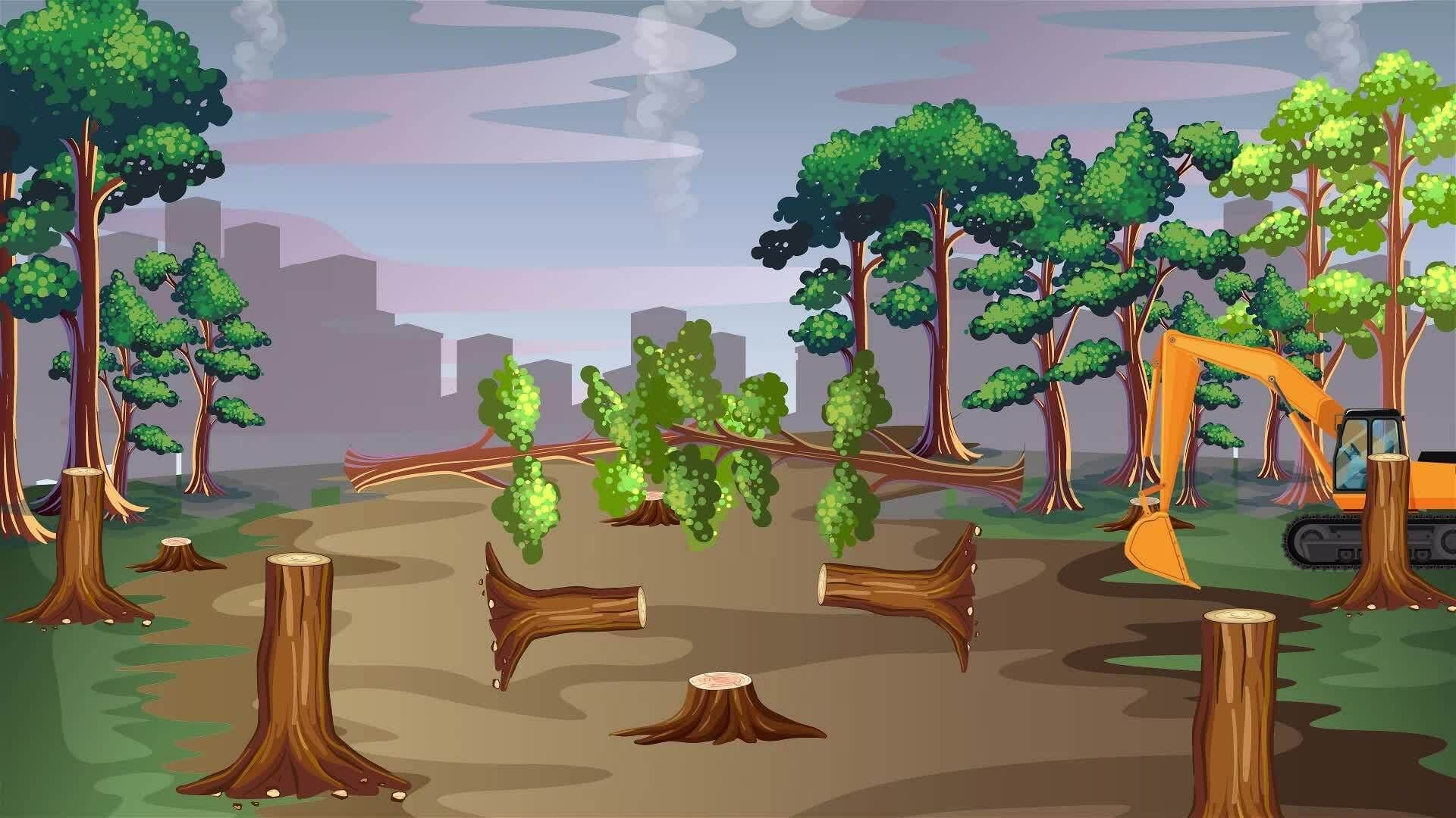 I WONDER - What Is Deforestation?