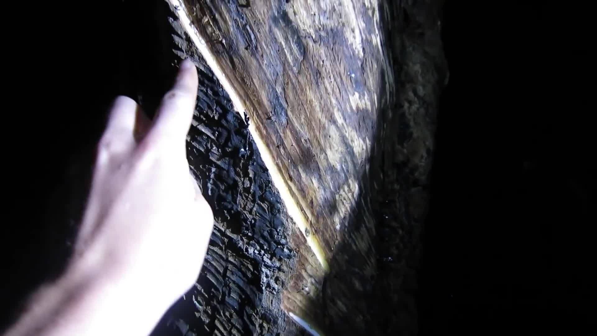 Where does Rubber come from?