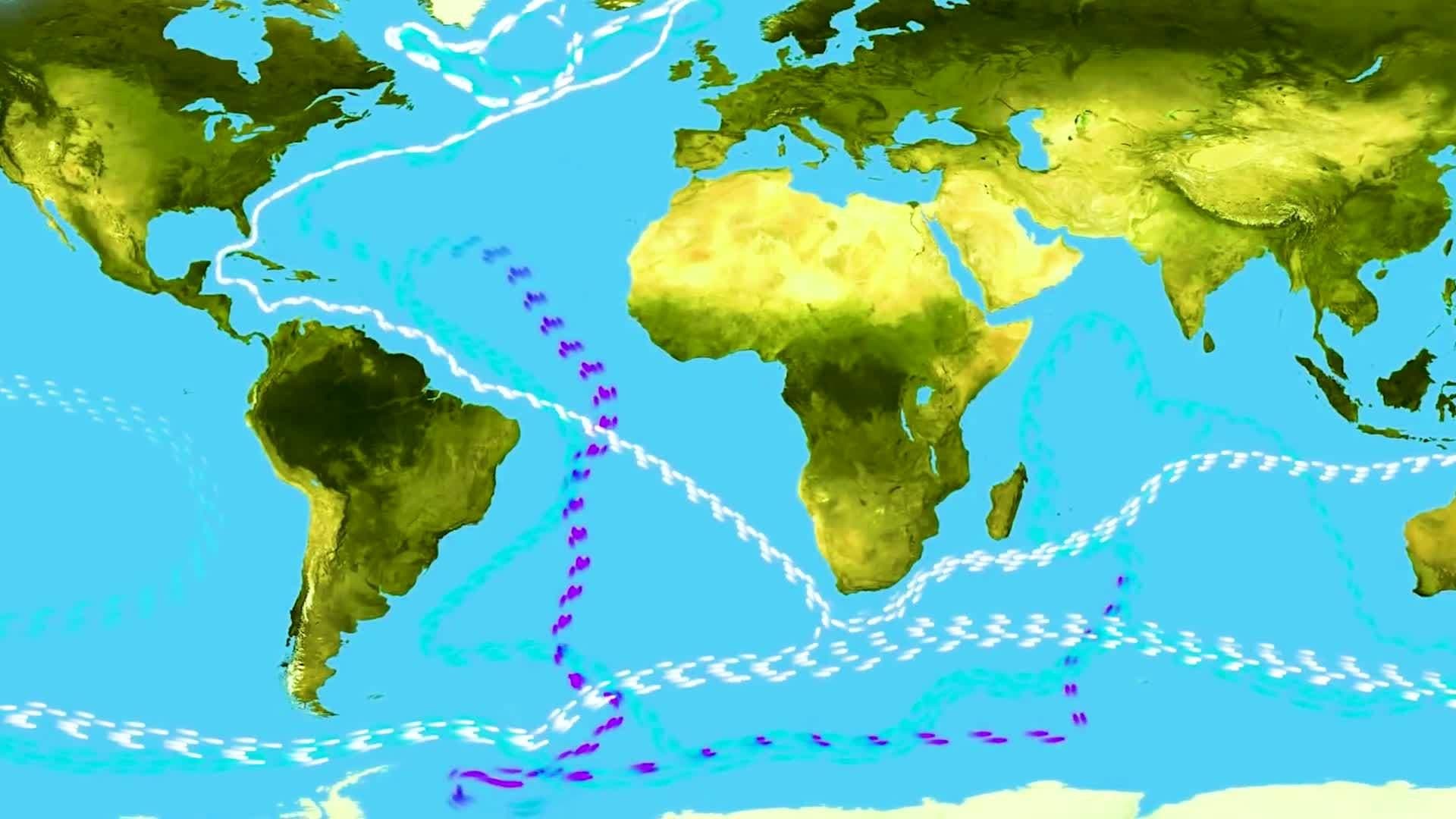 Science Kids: The Impact of Climate Change on the World's Oceans