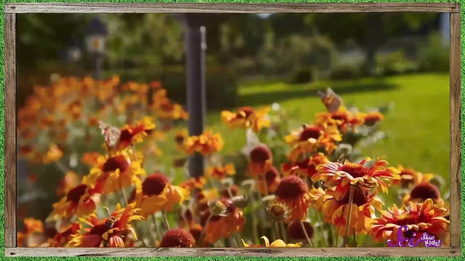 The Biggest Flower in the World!