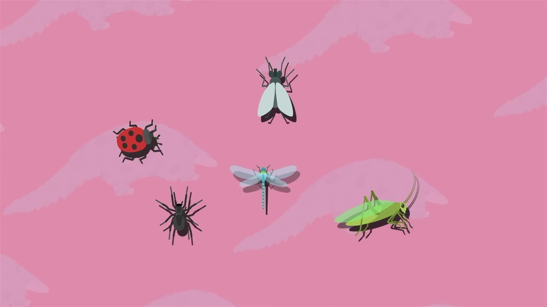 I WONDER - How do Pangolins Protect Themselves?