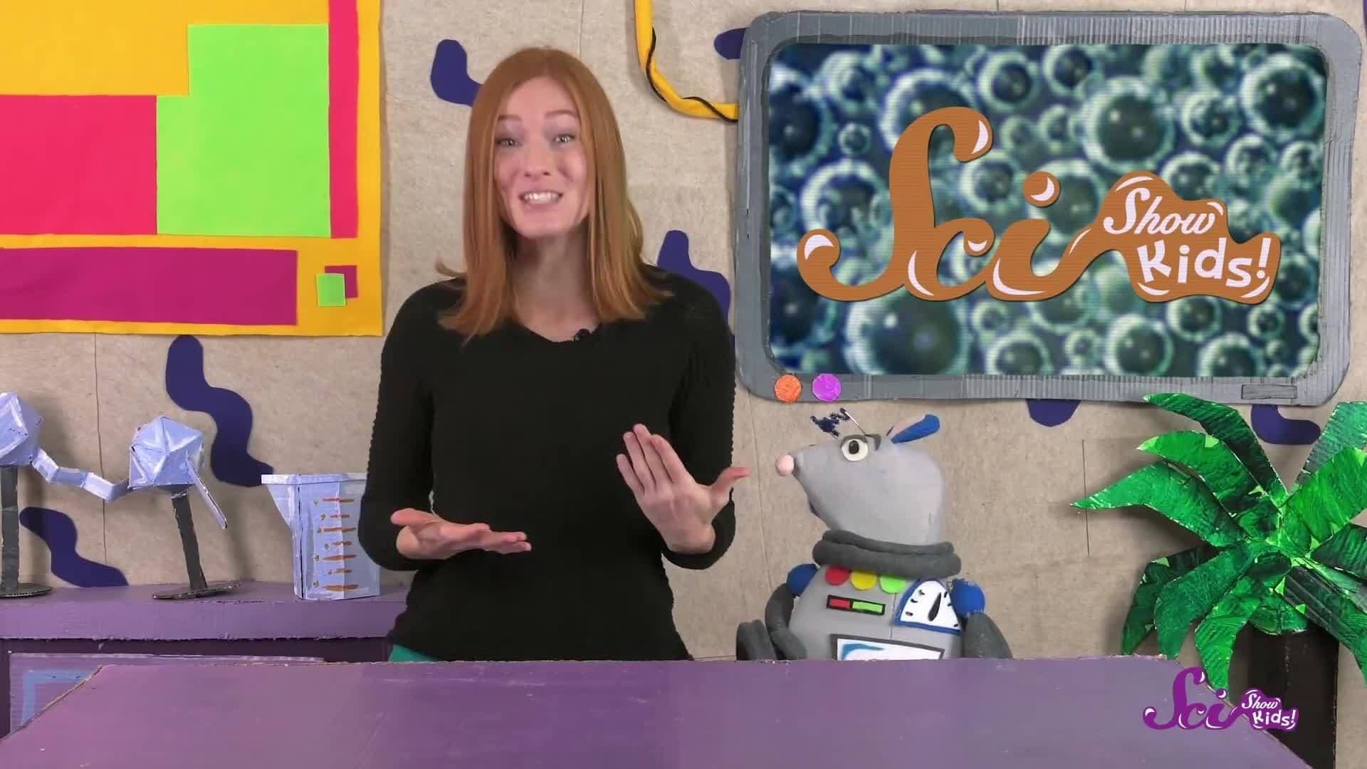 Why Do We Have Saliva?