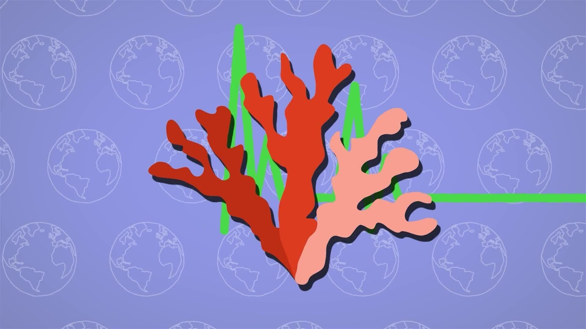 I WONDER - Is A Coral Reef An Ecosystem?