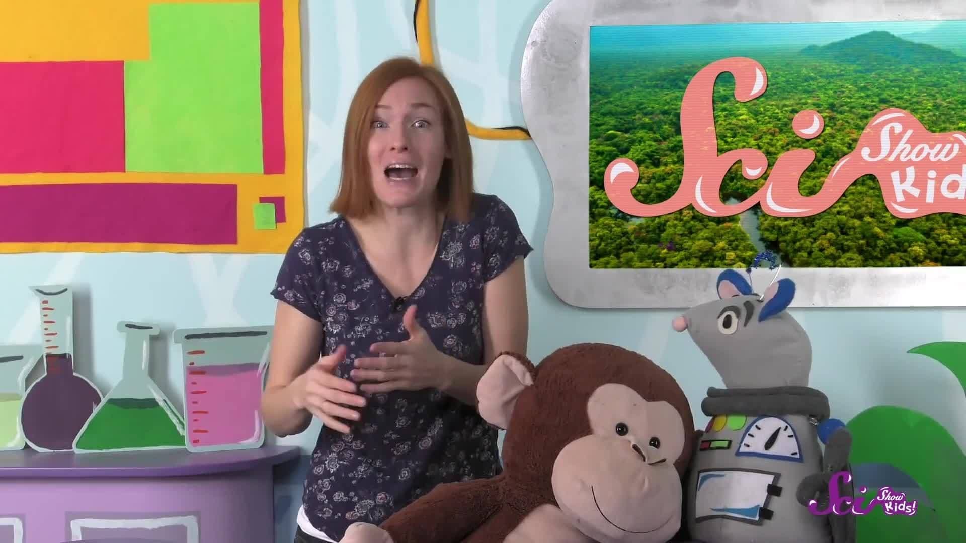 Into the Forest with Jane Goodall!