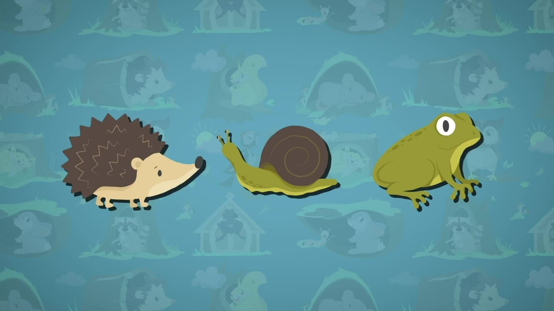 I WONDER - How Long Does Hibernation Last?