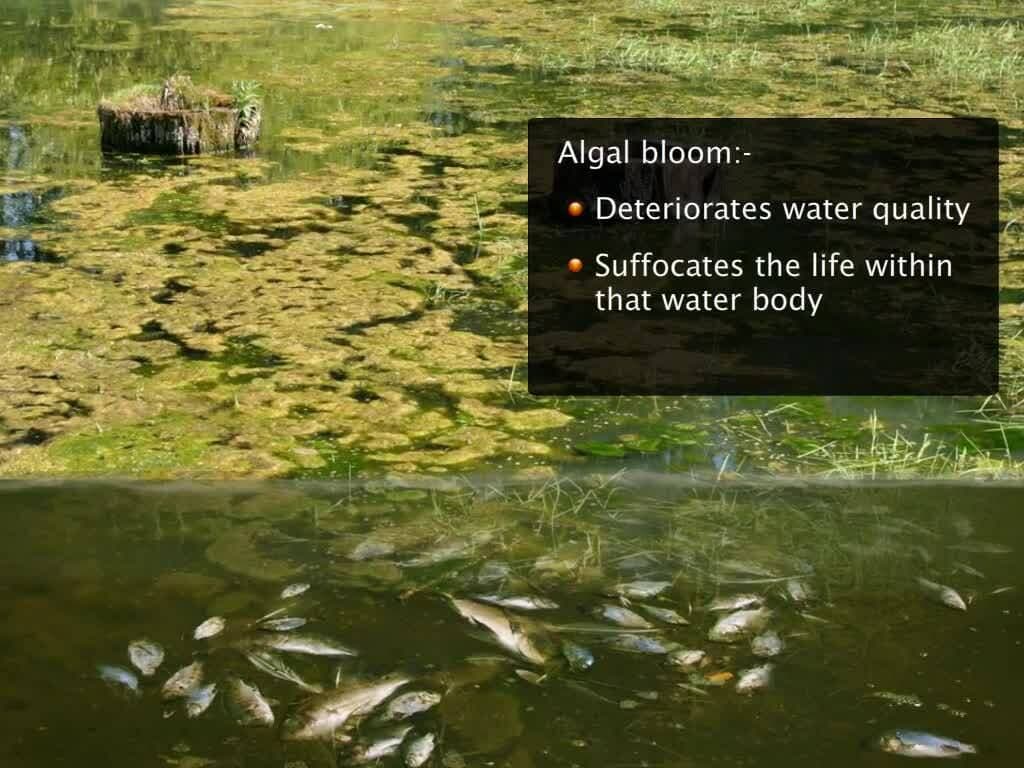 Water pollution