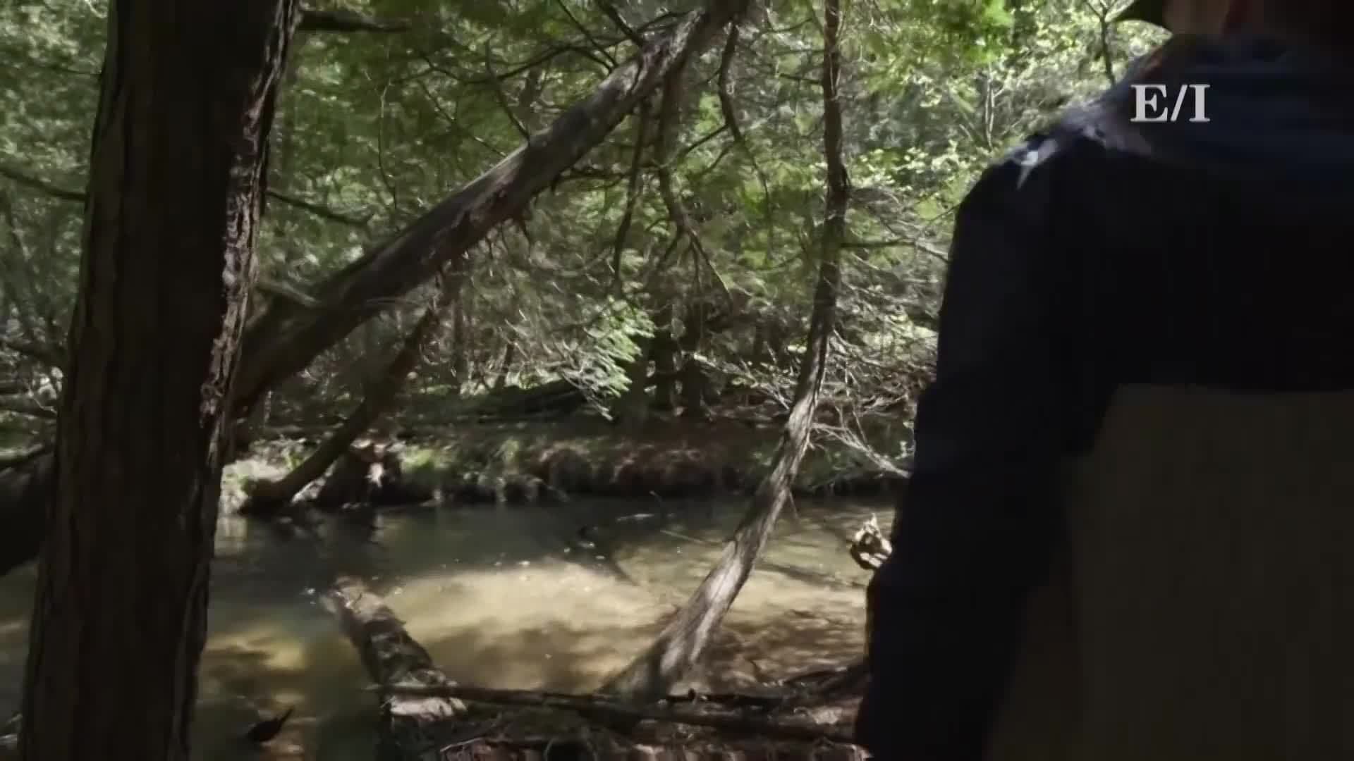 Trout Fishing Tips