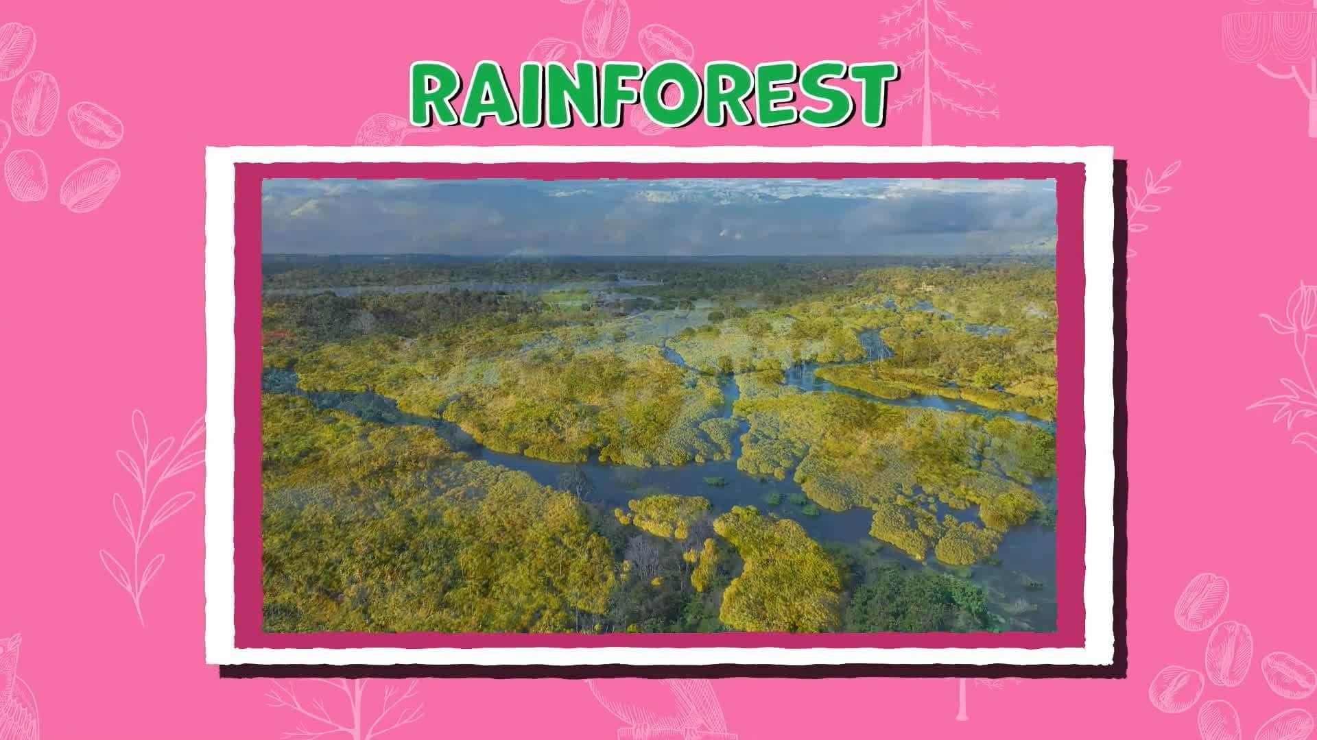 I WONDER - How Many Animal Species Live In Brazil?