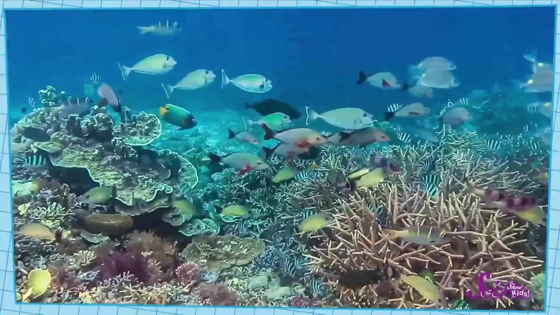 How to Save Water (and Help the Earth!)