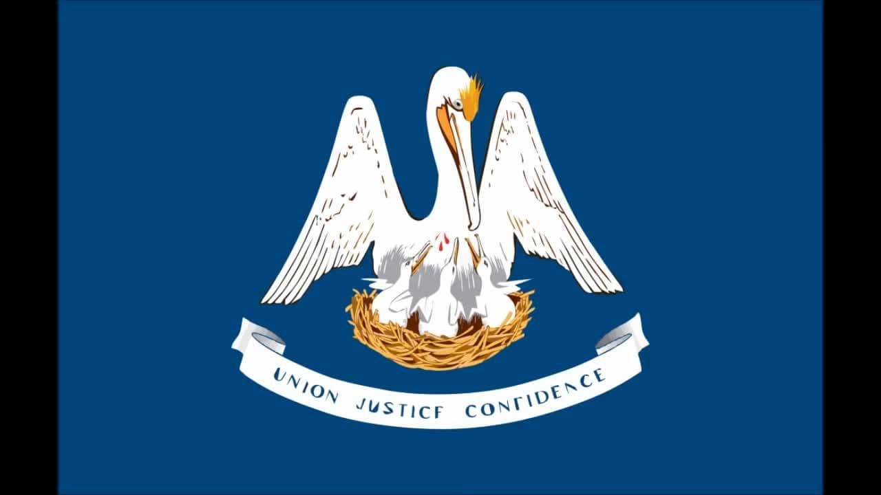 50 States Song with pictures of all 50 State Flags | Kids Learning Videos