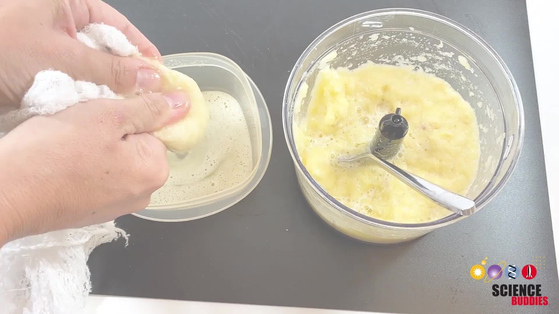 What Do Enzymes in Pineapple Juice Do to Milk?