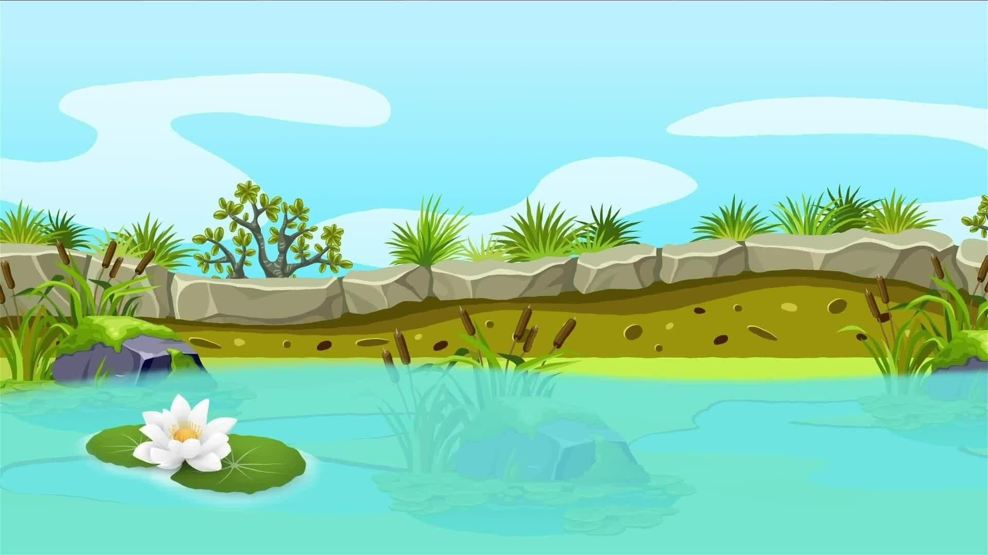 I WONDER - What Are Wetlands?