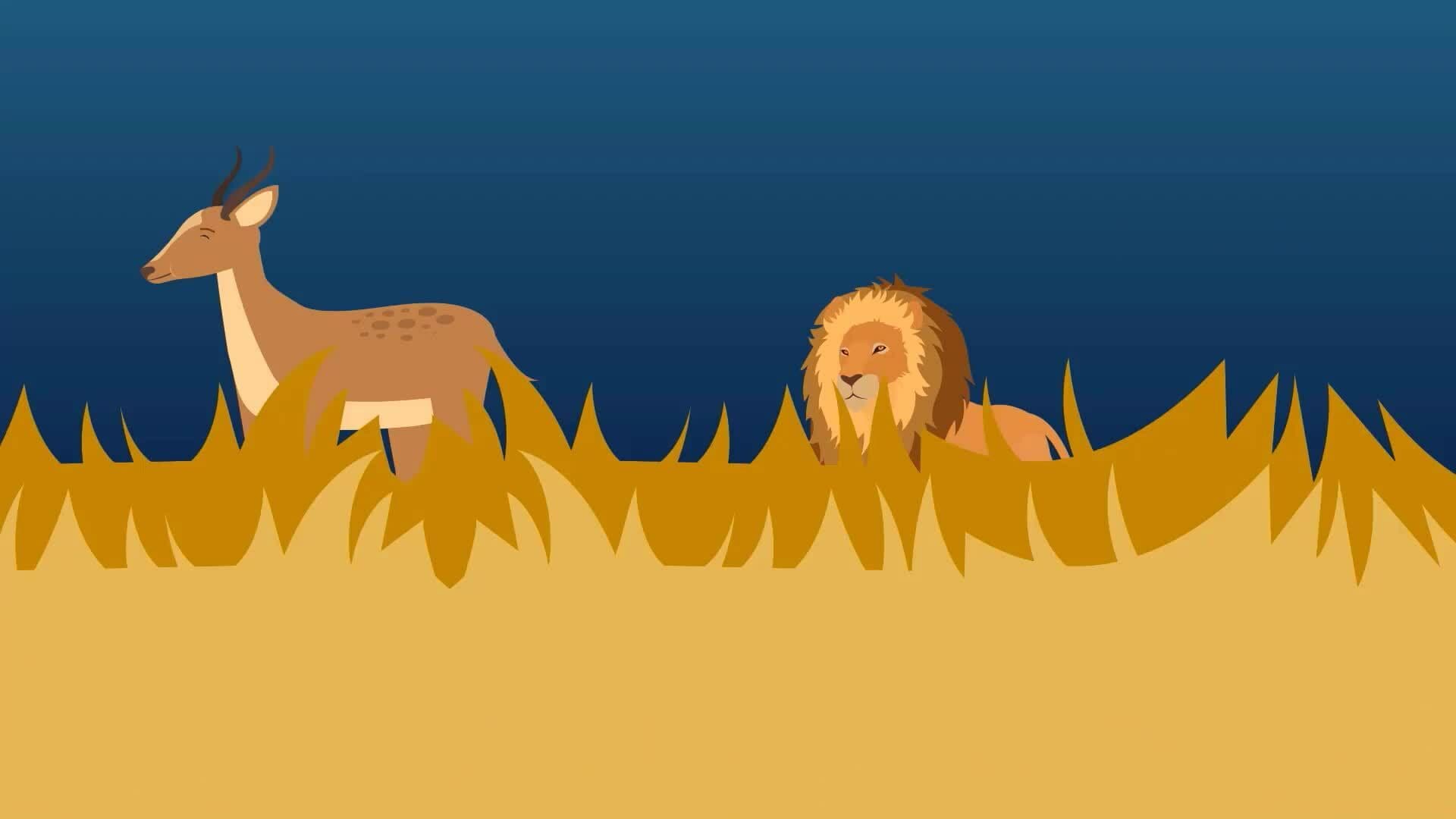 I WONDER - How Do Lions Hunt?