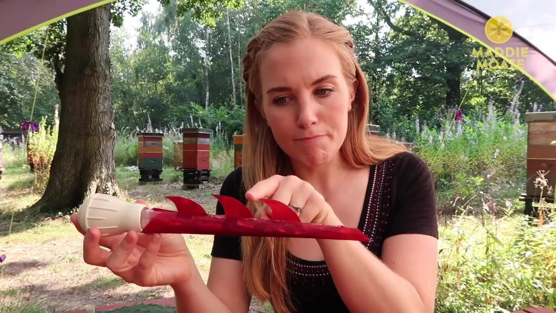 How Do Bees Sting? | Maddie Moate
