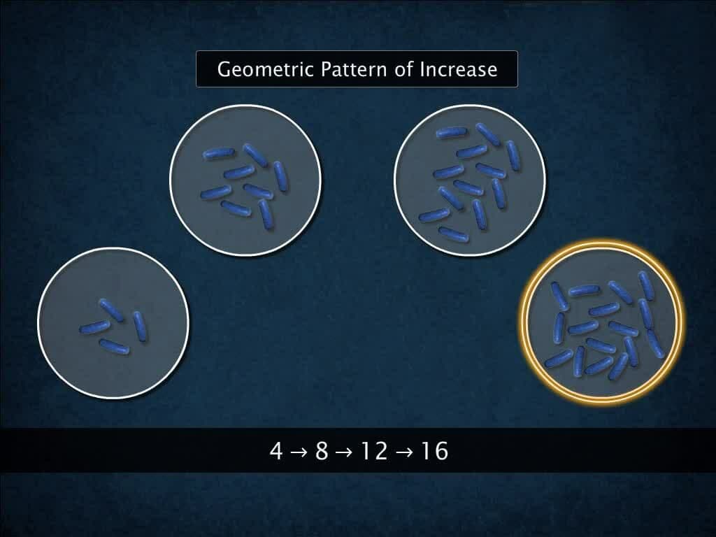 Population Growth