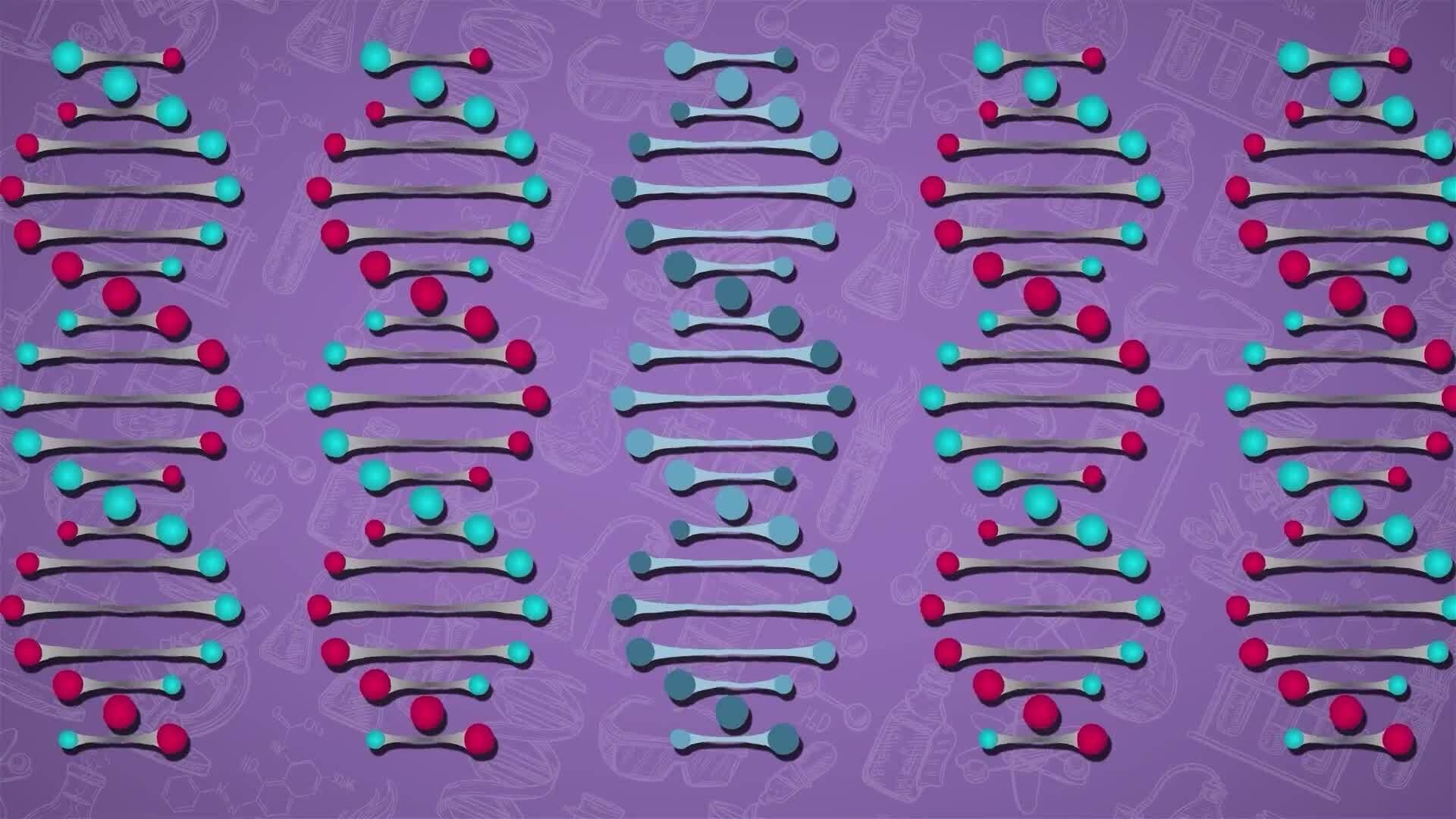 I WONDER - What Is DNA Mutation?