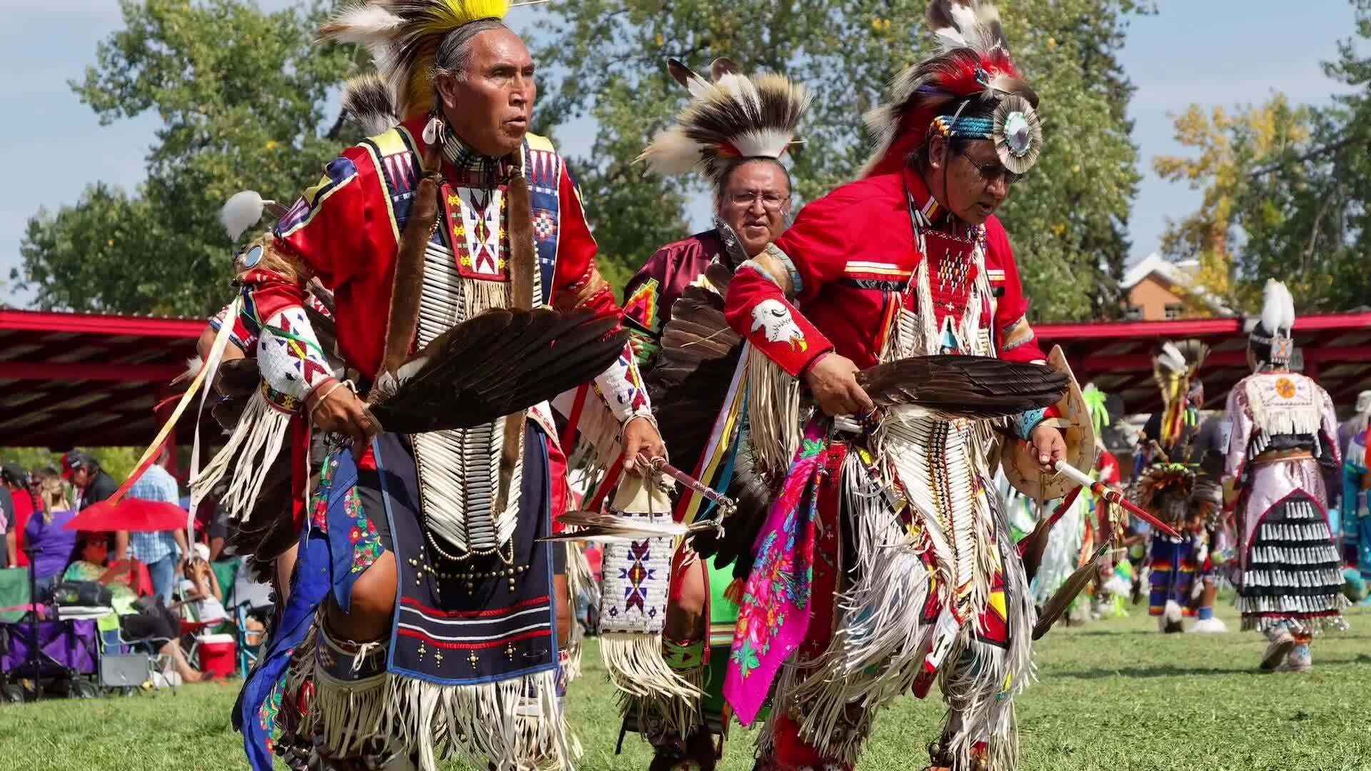 Uniting Against the Sixth Extinction: Historical and Modern Conservation Efforts