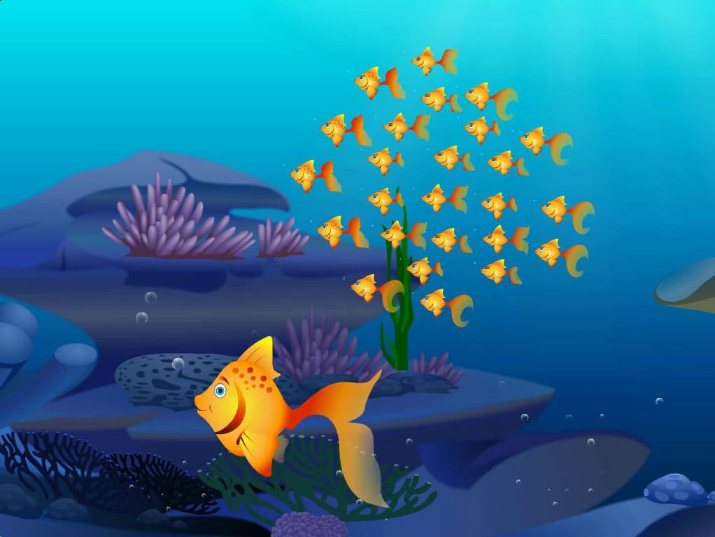 Divisibility Rules 1