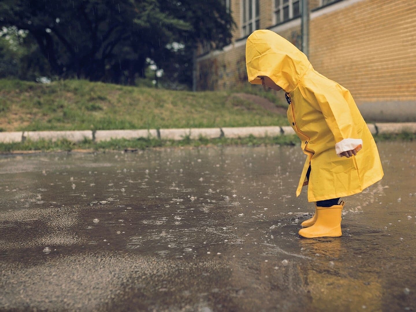 Respecting Boundaries: Exploring Rules and Limits