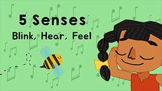 Singing About Senses