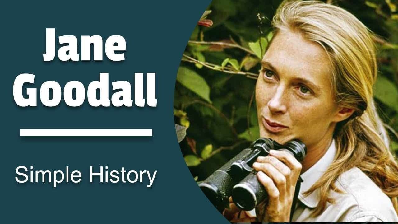 Jane Goodall: Friend of the Chimps