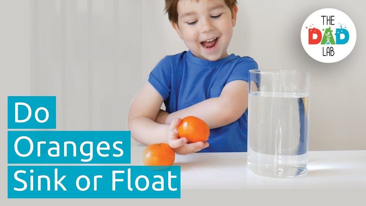Science Experiment: Sink or Float