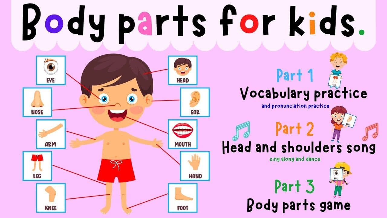 Body Parts For Kids | Head And shoulders Song | Body Parts Game | ESL Kids | 4K