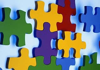 Food chains – Jigsaw