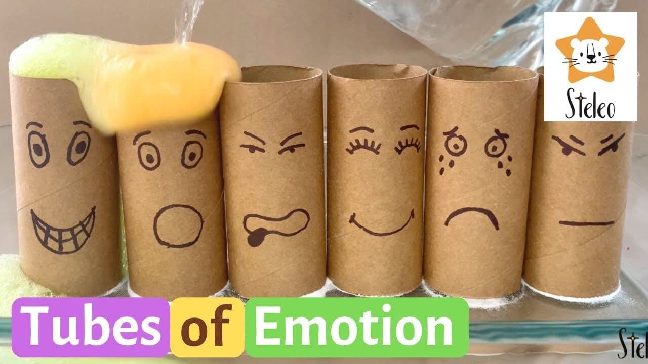Toilet Paper Tubes Experiment
