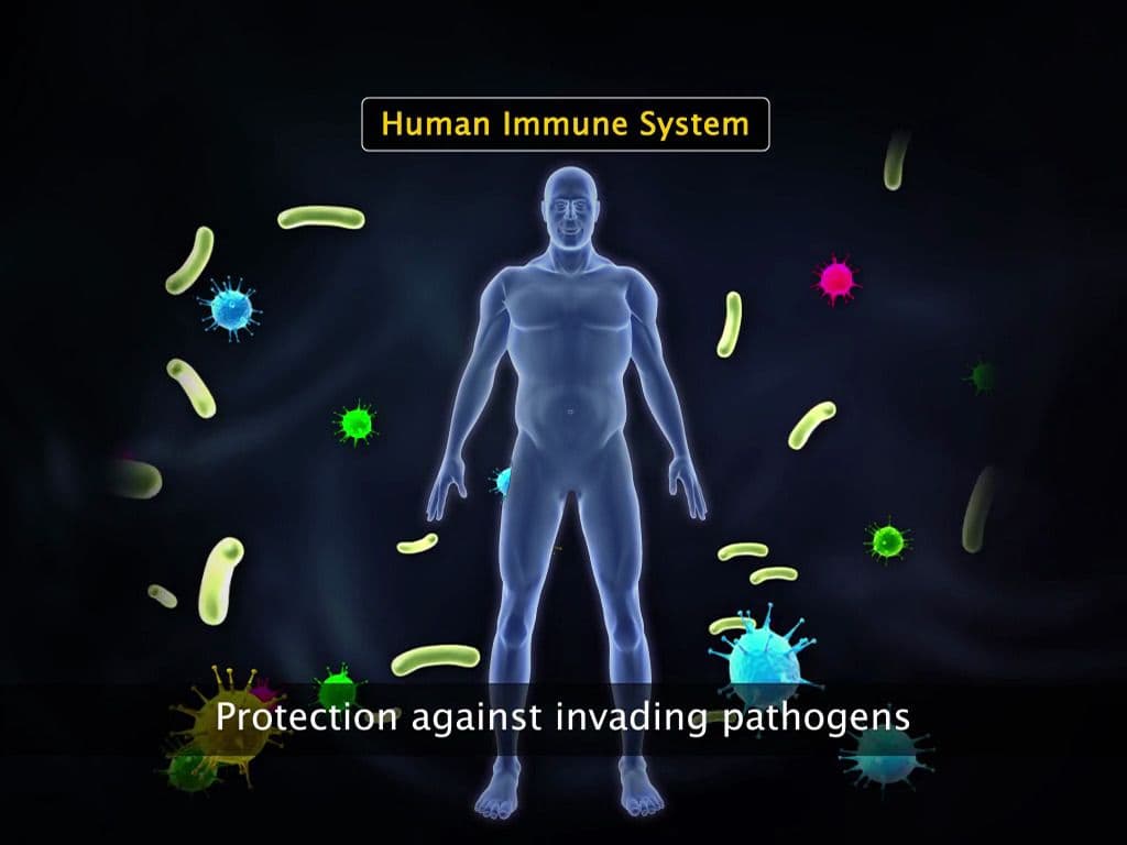 Auto-Immune Disorders